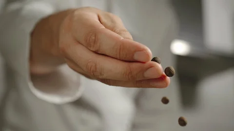 SLOW MOTION: Chef Pours Whole Round Black Pepper Grains While Cooking Stock Footage 113990792