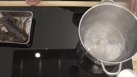 Slow motion Chef putting a Lobster in boiling water Stockbeeldmateriaal 85880325