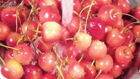 Slow motion cherry in colander under water Stock Footage 90649895