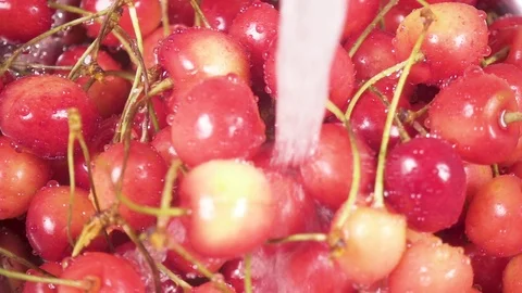 Slow motion cherry in colander under water Stock Footage 90649981