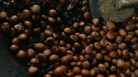 Slow motion of chestnuts fired on a hot pan. 库存影片 144382716