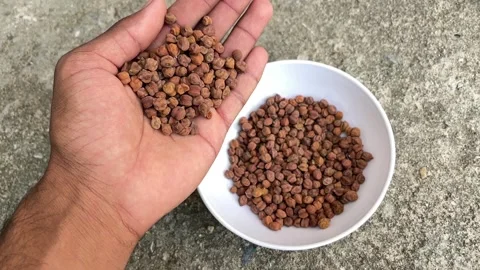 Slow Motion of Chickpeas Falling from Hand into Bowl | Raw Gram Seeds Close-Up Видео 318663190