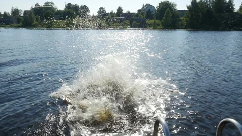 Slow motion child jumping off dock. Little girl jumping into the lake  Stock Footage 278867373