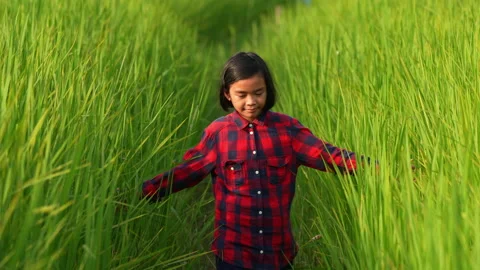 Slow motion children playing in rice field on sunset background 動画素材 218980352