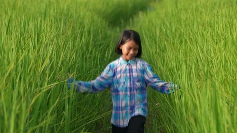 Slow motion children playing in rice field on sunset background Vidéo 218982557