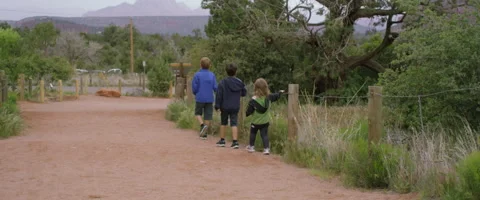 Slow Motion Children Walk in Single File Line on Scenic Hike Stock Footage 61718917