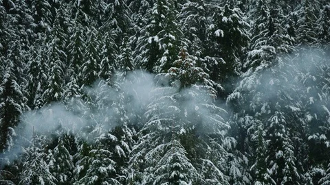Slow motion of chimney smoke floating above tall trees covering hills in Cordova Stock Footage 129110072