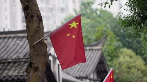 Slow motion of Chinese flag with bright red and yellow colors is mounted on tree Stock Footage 290476995