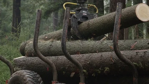 SLOW MOTION: Claw on loader lifting trunks &amp; loading logging truck in the woods Stock Footage 73358978
