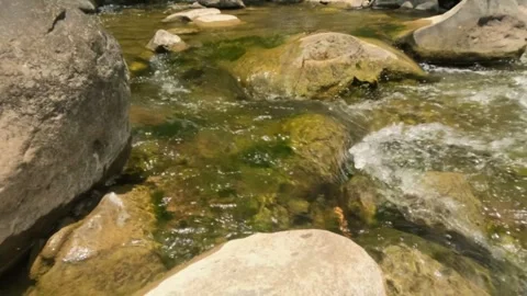 Slow motion of a clear and calm flowing rocky mountain river Stock Footage 323149950