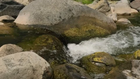 Slow motion of a clear and fresh river cascade Stock Footage 323149861