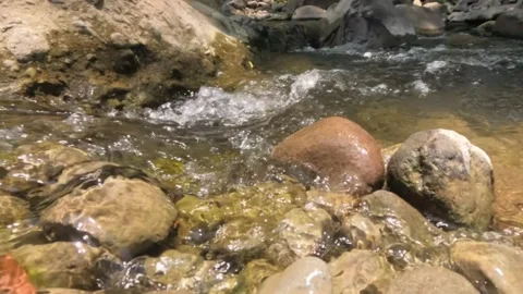 Slow motion of a clear and fresh river cascade Stock Footage 323149872