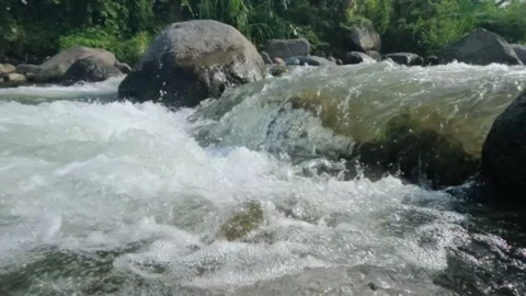 Slow motion of a clear flowing mountain river in the rocks of the river Stock Footage 320984815