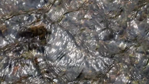 Slow motion clear flowing water that is transparent to the river rocks Video stock 292197078