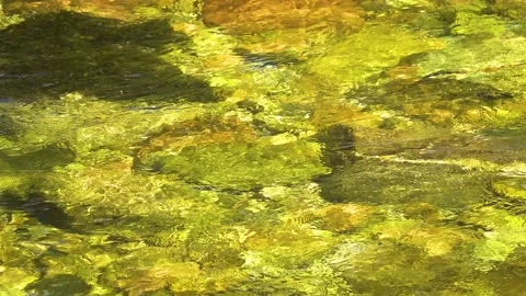 Slow motion. clear mountain river moves over the stones Stock Footage 194428376