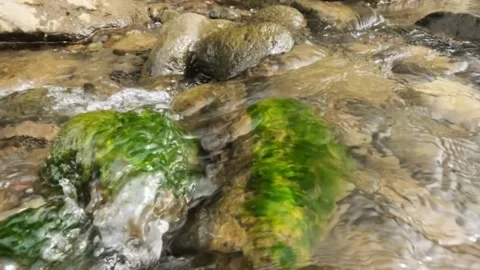Slow motion of a clear mountain river flowing through mossy rocks Stock Footage 320921424