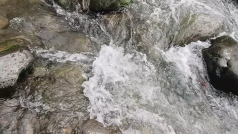 Slow motion of a clear mountain river Stock Footage 320921448