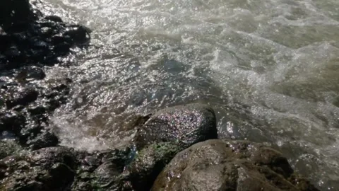 Slow motion of clear mountain river water flowing through rocks Video stock 320982299