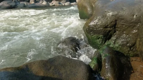 Slow motion of clear mountain river water flowing through rocks Video stock 320982347