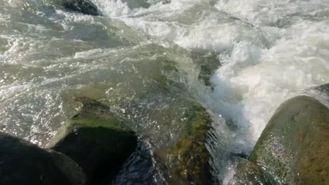 Slow motion of clear mountain river water flowing through rocks Stock Footage 320982379