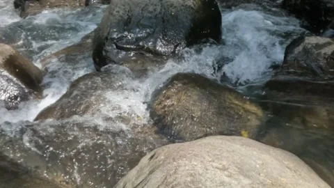 Slow motion of a clear mountain river flowing through a rocky cascade Stock Footage 321264907