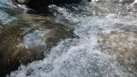 Slow motion of a clear mountain river flowing through a rocky cascade Stock Footage 321264910