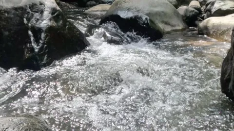 Slow motion of a clear mountain river flowing through a rocky cascade Stock Footage 321265003