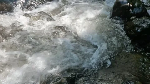 Slow motion of a clear mountain river flowing through a rocky cascade Stock Footage 321265007