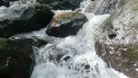 Slow motion of a clear mountain river flowing through a rocky cascade Stock Footage 321265056