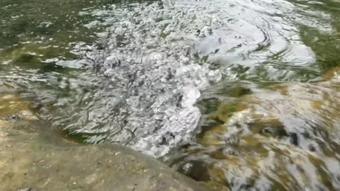 Slow motion of a clear mountain river during the dry season Video stock 321320269