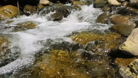 Slow motion of a clear mountain river flowing through rocks Stock Footage 321845312