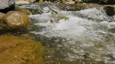 Slow motion of a clear mountain river flowing through rocks Stock Footage 321845316