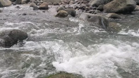 Slow motion of clear rocky mountain river water flow Stock Footage 320921463