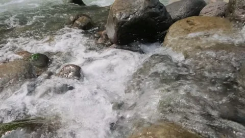 Slow motion of clear rocky mountain river water flow Stock Footage 320921513