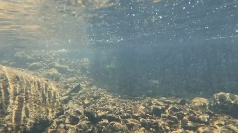 Slow motion of a clear rocky riverbed with dramatic light Stock Footage 321324179