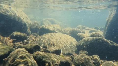 Slow motion of a clear rocky riverbed with dramatic light Stock Footage 321324191