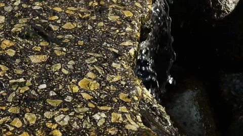Slow motion of clear transparent fresh water flowing down from the rocks Stock-Footage 74491037