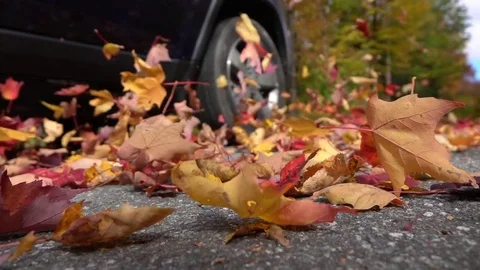 SLOW MOTION CLOSE UP Black SUV car drives on forest road swirling autumn leaves Stock Footage 80033023