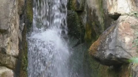 Slow Motion close-up of brown bear (Ursus) passing in front of small waterfall 動画素材 43812749