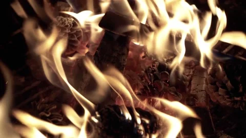 Slow motion close up burning fire. Bonfire. Stock Footage 153832698
