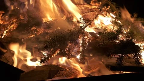 Slow motion close up of burning pine christmas tree branches in a steel bac.. Vídeo Stock 233723640