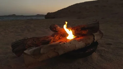 Slow motion Close Up of Campfire Burning between wooden firewood on Sandy Desert Vídeos de archivo 341910073