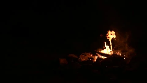 Slow Motion Close-Up of Campfire Flames Burning in Outdoor Nature Setting Stock Footage 310954763