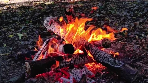 Slow Motion Close Up of Campfire Logs and Fire Stock Footage 342162131