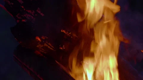 Slow motion - Close-up campfire at the night. Large burning fire in the fores Stock Footage 198377888