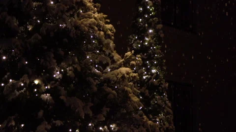 SLOW MOTION CLOSE UP: Christmas lights on snowy spruce tree in winter night Vídeos de archivo 68586674