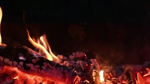 Slow motion close-up of a cozy campfire burning at night, side view Stock Footage 312264559