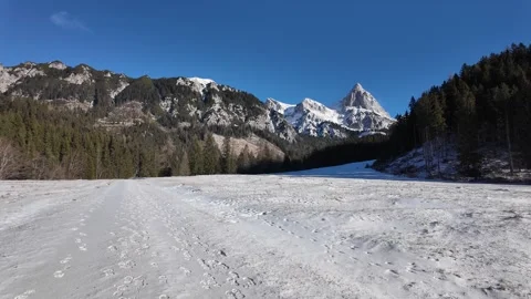 Slow Motion Close Up Of Falling Snow In Kaiserau Alpine Landscape Vídeo Stock 328694825