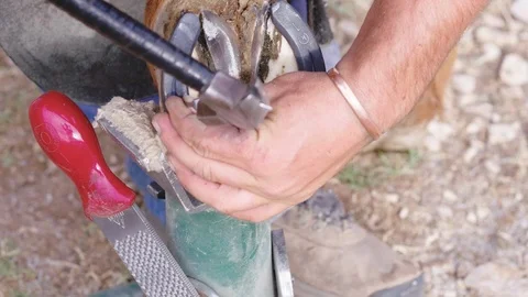 Slow motion close up of a Farrier nailing in a new horseshoe, 23.98 fps, Stock Footage 104318864