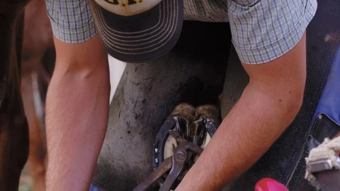 Slow motion close up of a Farrier uses podiatry tools on a horse's hoof, Stock Footage 104319531